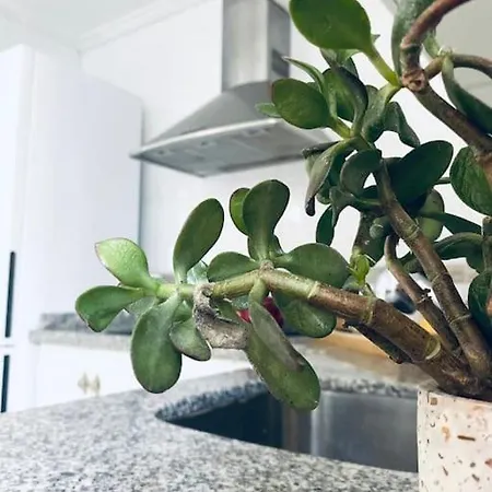 Apartamento Musalla Almería