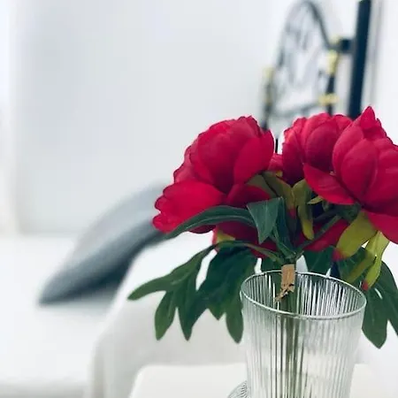 Apartman Musalla *